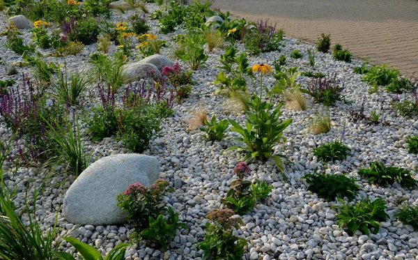 Ornamental Flowerbed Perennials Stones Made Gray Granite Mulched Pebbles City — стоковое фото