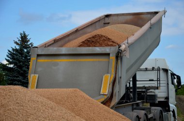 Ağır yük vagonu. Bir yığın çakılı büyük bir yığının içine atın. Yalak ya da küvet şeklinde bir metal zıpzıp onlarca ton taşı taşıyabilir. Üç eksenli yarı römork. Bir inşaat sahasında, boşalt