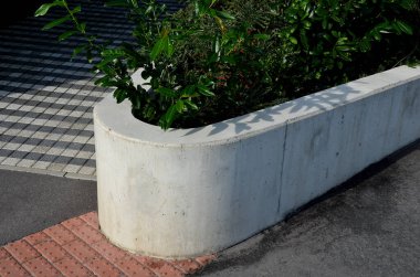 Beton saksı, konteynırın şekli büyük oranlarda bir dikdörtgen ya da bir sokak kavşağında bir kemere atılmış. Her zaman yeşil çalılar toprağın üstünde, yatağın içinde büyür..
