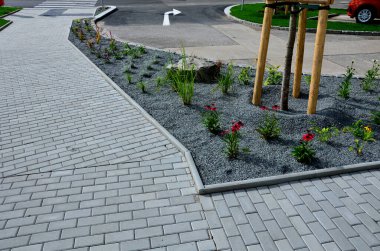 promenade for pedestrians and cyclists with a dividing island between the lanes and road, road markings sprayed with paint on asphalt. wheel, arrow and triangle. luxury spa, threshing, wooden bench clipart