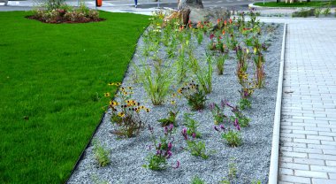 Yollar ve şeritler arasında bölünmüş bir adası olan yayalar ve bisikletçiler için gezinti alanı, asfalta boya püskürtülmüş yol işaretleri. Tekerlek, ok ve üçgen. Lüks kaplıca, harman, ahşap bank