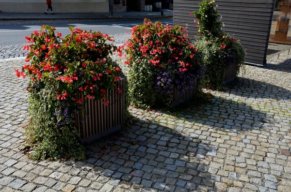 ornamental flower pots on village center trough, wooden flower pots with beautiful decorations of violets and daffodils. Easter is approaching so it is necessary to decorate entrance of home, parking
