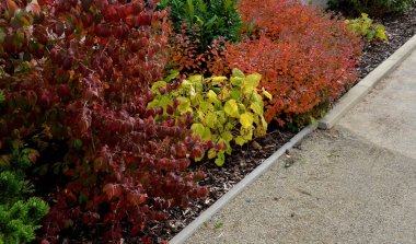 Otlu beyaz çakıl taşlarının arasında pembe çalılar çiçek açıyor. Asfalt kaldırımı takip ediyor..