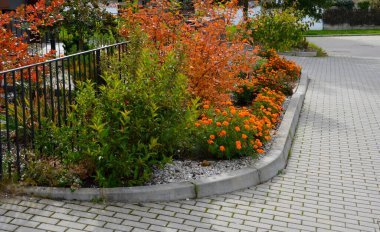 Otlu beyaz çakıl taşlarının arasında pembe çalılar çiçek açıyor. Asfalt kaldırımı takip ediyor..