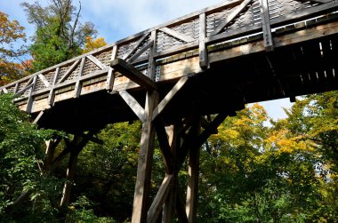 Ortaçağ meşe ağacı, sürgülenmiş. Hendeğin üzerindeki köprü. Korkuluklar devasa kirişlerden yapılmıştır. Bu kirişler arasında birkaç ince meşe çubuğu dikey bükülme arasında örülmüştür. Hasır sepet örer gibi zigzag..