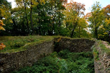 Taş bir duvarın yeniden inşası. Yosun çıkarılmış, onarılmış kısım görülebilir. Lanet duvar basınçlı suyla dolu ve çimento eklemleriyle dolu. yenilenmemiş olanın aksine