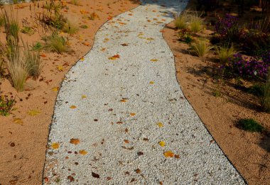 Çiçek tarhında çiçek açan asterler bir monokültür, bir çiçek halısı oluşturur. daha uzun çimlerin arkasında. Bahçe düzenleme çayırlık güneşli karakter, bej çakıl, beyaz kireç taşı yolları, adımlar, adım, kum tepesi, çöl