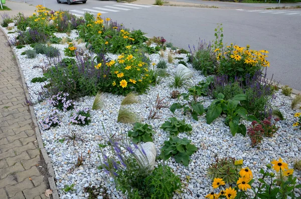 Canteiro Flores Ornamental Com Plantas Perenes Pedras Feitas Granito Cinza — Fotografia de Stock