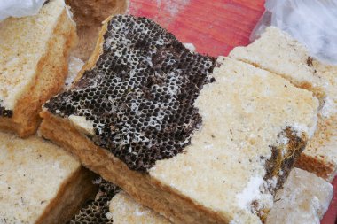 Kayalık dağda yabanarısı kovanı balı