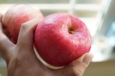 El ele tutuşarak yıkanmış kırmızı Fuji elmaları