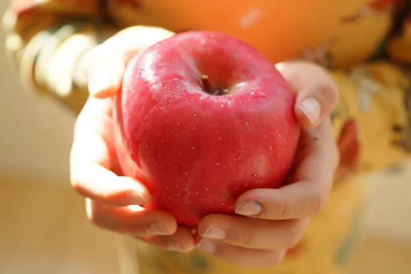 Свіжі Червоні Яблука Фудзі Руці — стокове фото