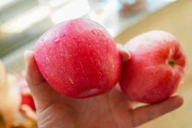 El tutan taze kırmızı elma