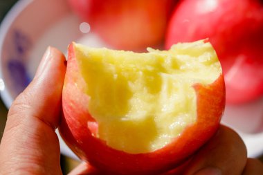 El tutan taze kırmızı elma