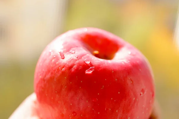 Hand Holding Fresh Red Apple — Stock Photo, Image