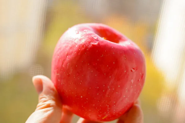 Hand Hält Frischen Roten Apfel — Stockfoto