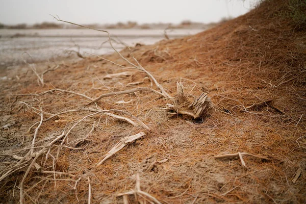 Vahşi Çöl Ölüm Haloklonu Kum Rüzgar Erozyonu — Stok fotoğraf