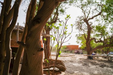 Yaz çölündeki köy.