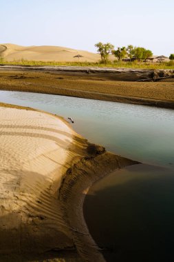 Çöldeki su kaynağı.