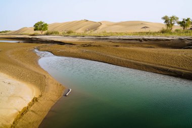 Çöldeki su kaynağı.