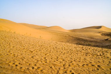 Güneşli gün çöl altın kum tepeleri
