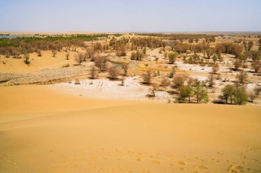 Çöl vahası, kum koruluğu gölü.