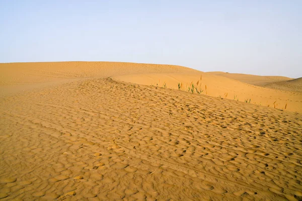 晴れた日の砂漠黄金の砂丘 — ストック写真