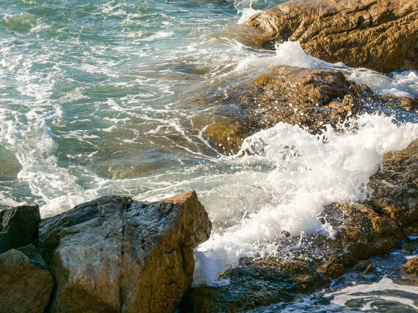 Deniz kenarındaki kaya adası resif dalgaları