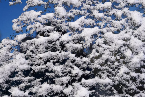 Ice Snow Surface Texture — Stock Photo, Image