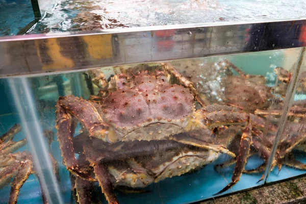 Tayland deniz ürünleri pazarı taze Red King Crab