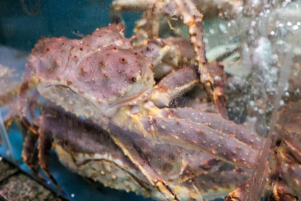Thailand Seafood Market Fresh Red King Crab — Stock Photo, Image