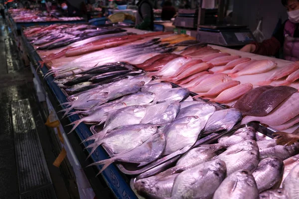 Thailandia Mercato Dei Frutti Mare Pesce Fresco — Foto Stock