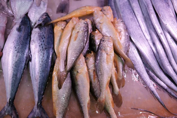 Thailandia Mercato Dei Frutti Mare Pesce Fresco — Foto Stock