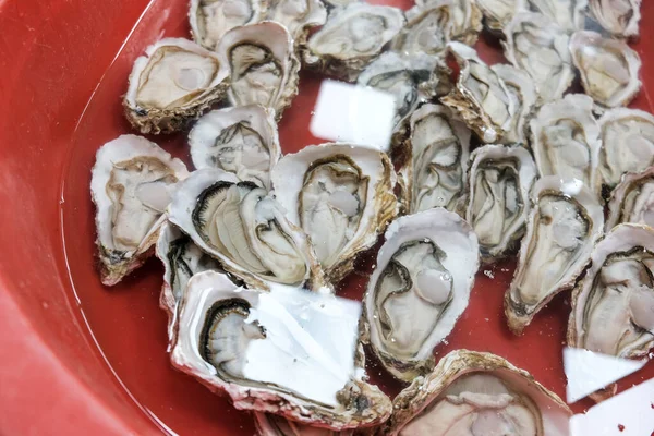 泰国海鲜市场新鲜牡蛎 — 图库照片
