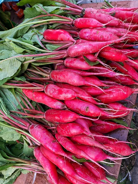 Fresh Red Turnip Radish Root Food Healthy Vegetarian Ingredients Family — Stock Photo, Image
