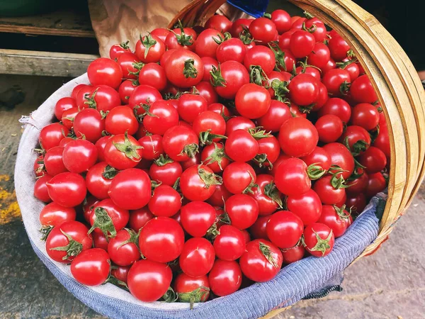 Bright Cherry Tomato Basket — Stock Photo, Image
