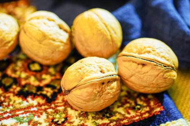 Stüdyo Fındık ve Ceviz Çekimi