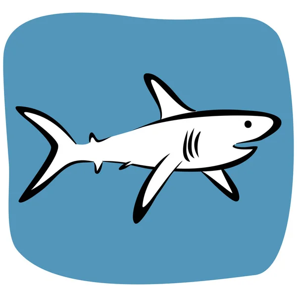 Dibujo Tiburón Vector Ilustración Aislado — Archivo Imágenes Vectoriales