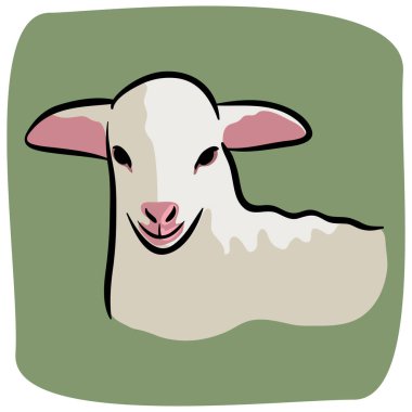 Beyaz koyun vektör illüstrasyonu