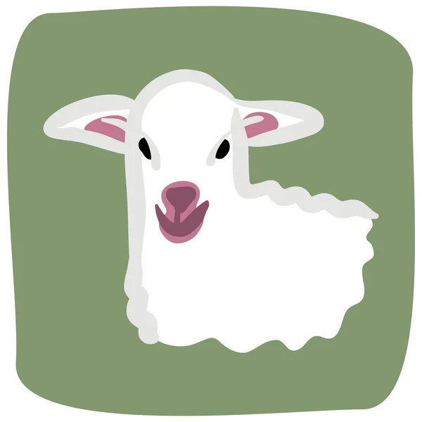 Owce Wektor Ilustracja Białym Tle — Wektor stockowy