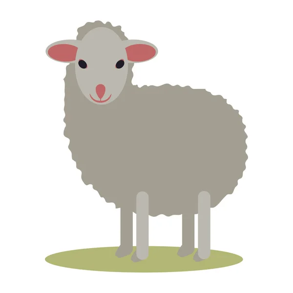 Illustration Vectorielle Isolée Des Moutons — Image vectorielle