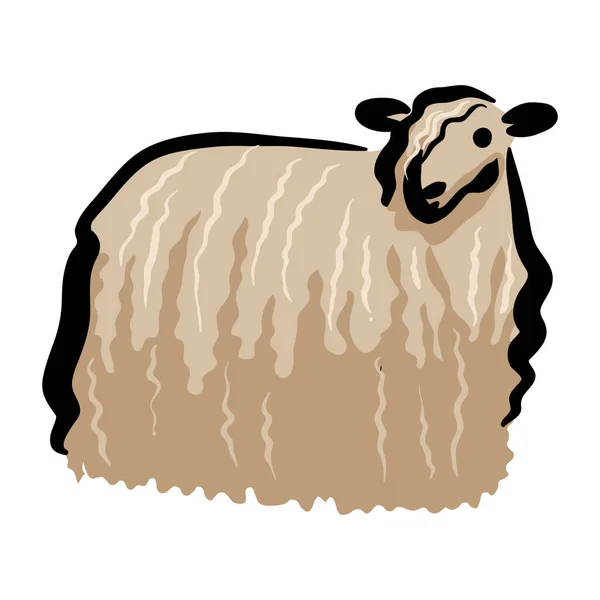 Ilustracja Wektora Rysunku Owiec — Wektor stockowy