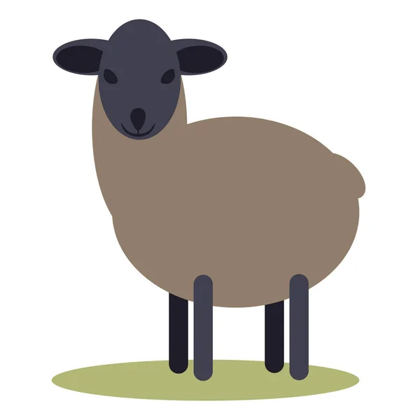 Mała Czarna Owca Wektor Ilustracja — Wektor stockowy
