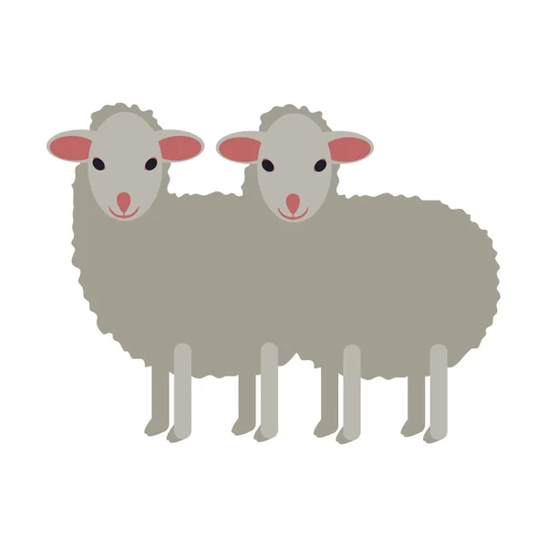 Deux Petits Moutons Blancs Isolés — Image vectorielle