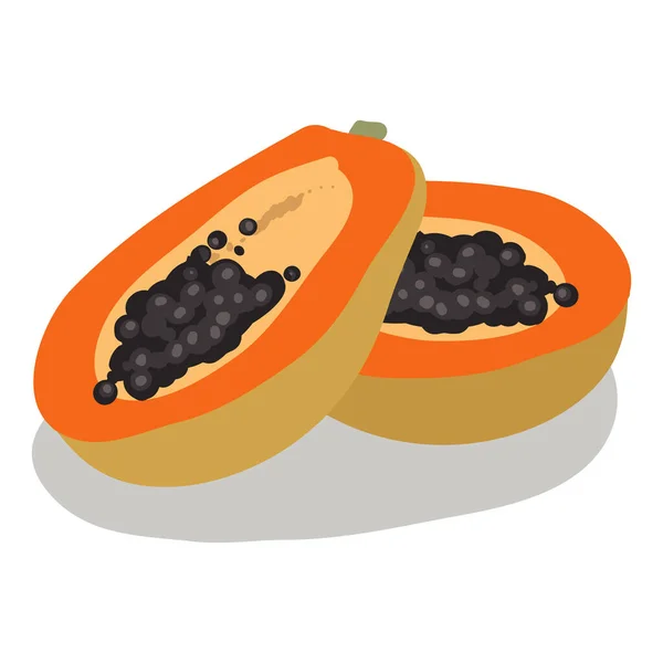 Gesneden Pappaya Fruit Vector Illustratie — Stockvector