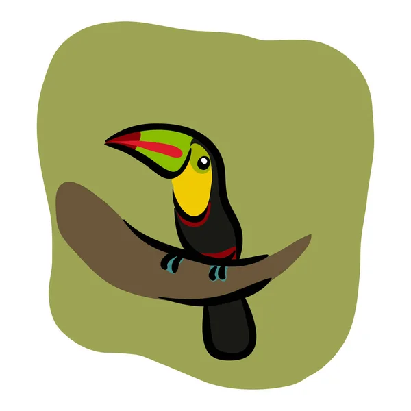 Tucan Bird Vector Illustration — Stockový vektor