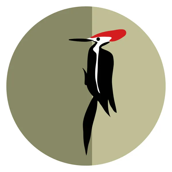 Woodpecker Vetor Ilustração Isolado — Vetor de Stock