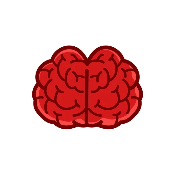 Human Brain Frontview Illustration Isolated White Background — Stock Vector