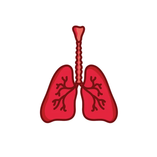 Insan Akciğerleri Illüstrasyon Izole Beyaz Arka Plan Üzerinde Vektör — Stok Vektör