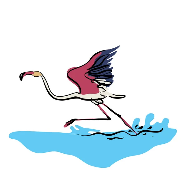 Correndo Flamingo Ilustração Vetorial —  Vetores de Stock