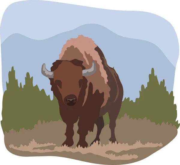 Ilustración Animales Bisonte Salvaje — Vector de stock